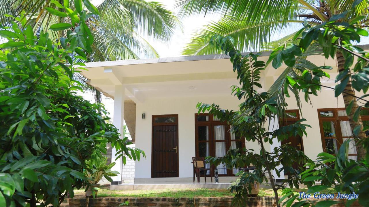 The Green Jungle Dambulla Luaran gambar