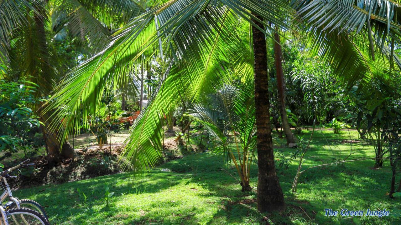 The Green Jungle Dambulla Luaran gambar