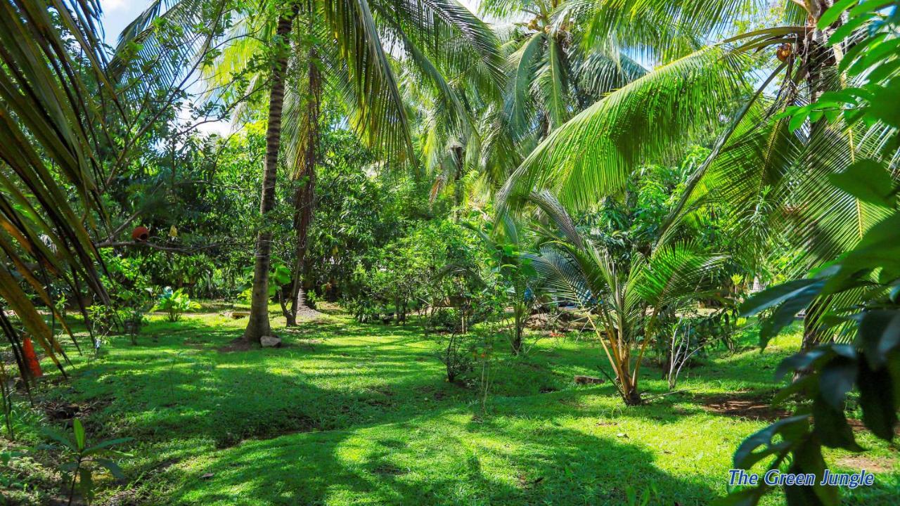 The Green Jungle Dambulla Luaran gambar