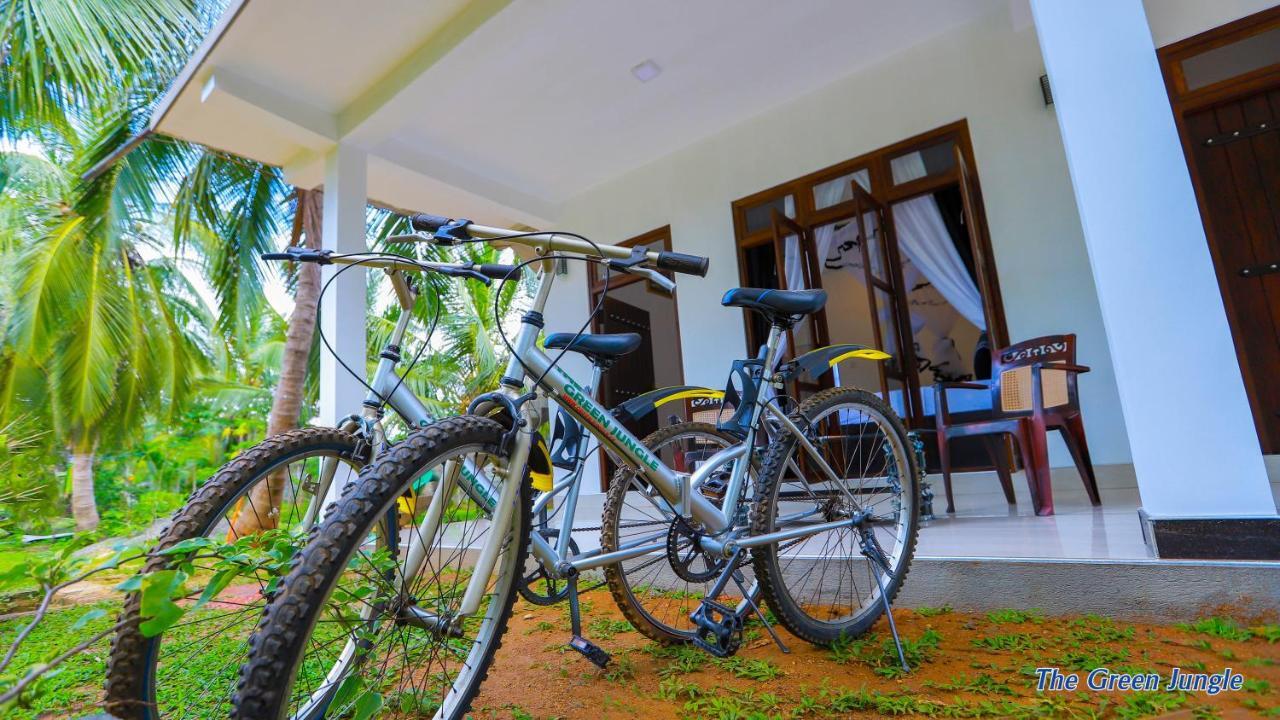 The Green Jungle Dambulla Luaran gambar