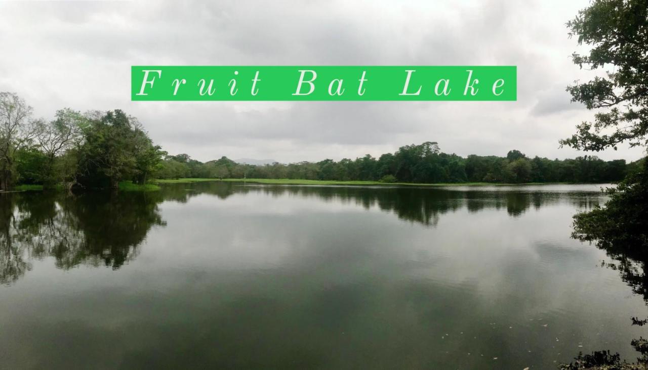 The Green Jungle Dambulla Luaran gambar
